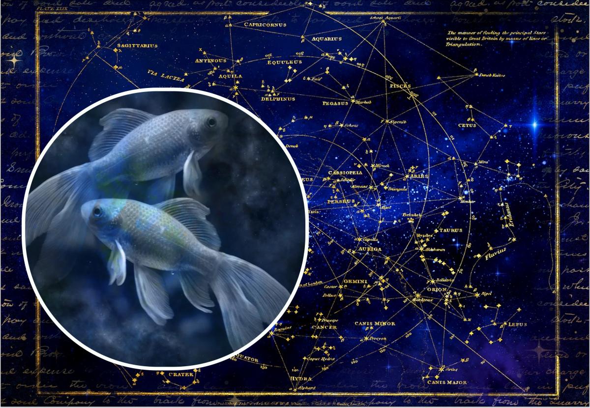  �������� ������� 2022 ��� �������� ������������ ������ ����� 