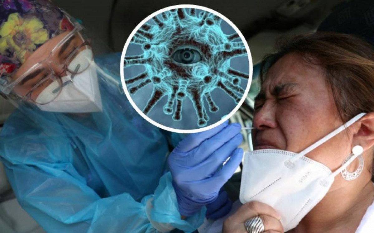  ������ �������� ��������� covid-19 ����� ������� 