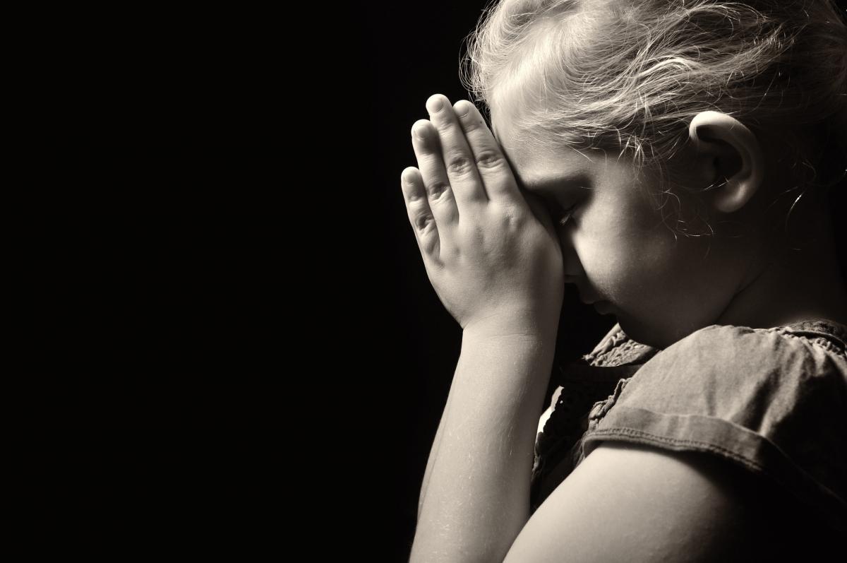  2022 ����������� �������� 