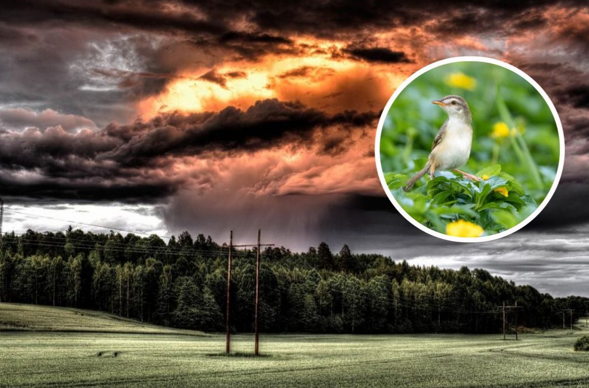  ������� ������� ������ ����� ��������� �������� ��������� �������������� 