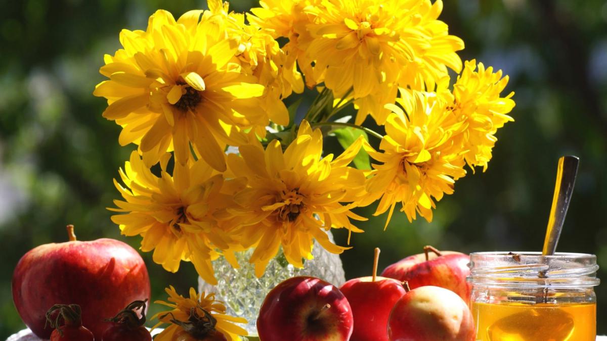  �������� ��������� ���� 2022 ������ ������� �������� ��������� 