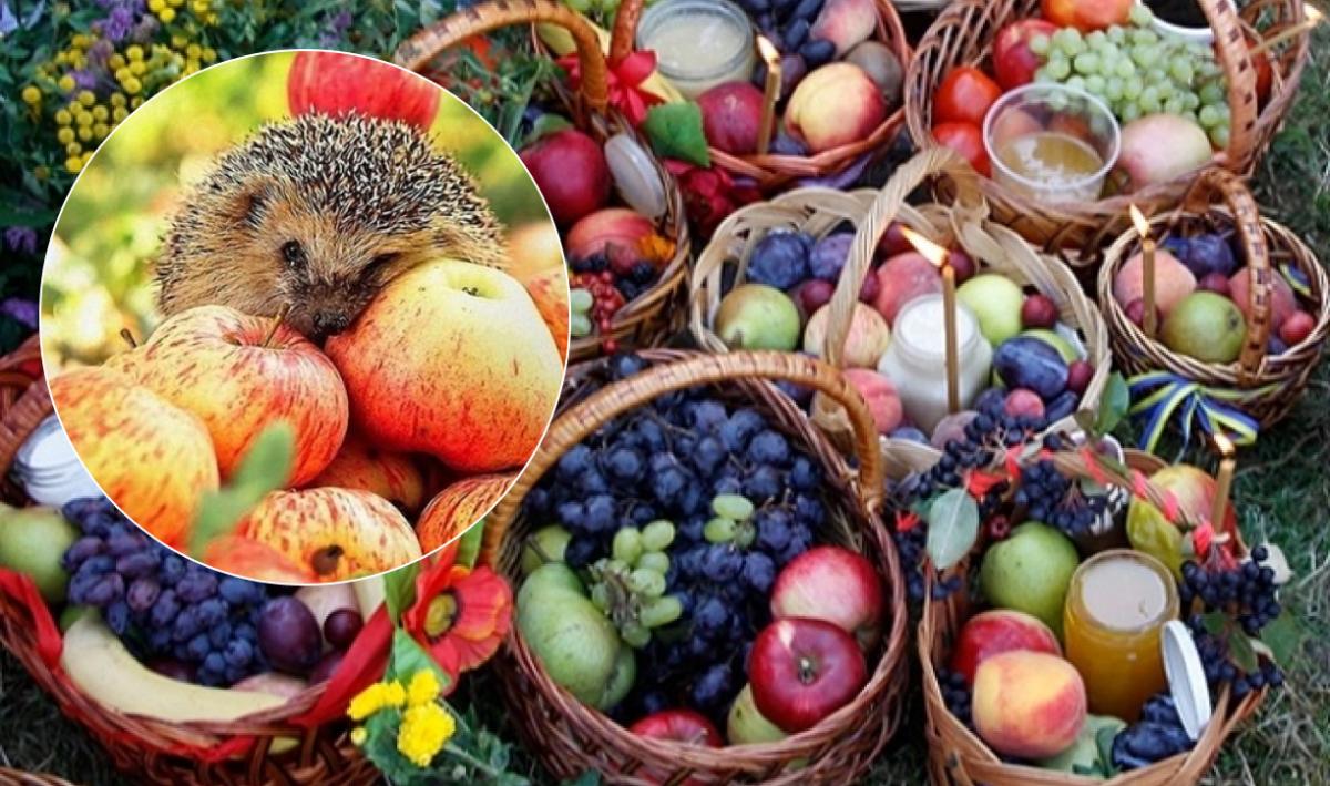  �������� ���� 2022 ������������ ��������� �������� �������� ��������� 