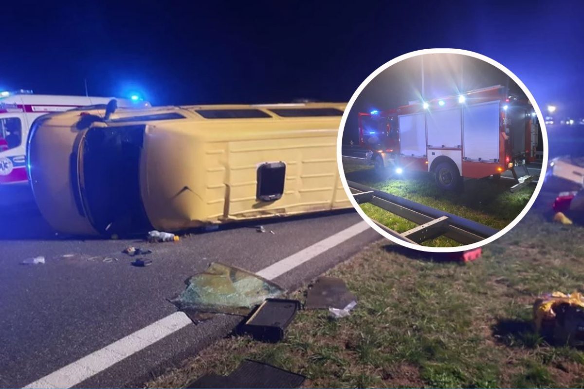  ������ ������������ ������������ ���������� ����� 13-������ ������� 