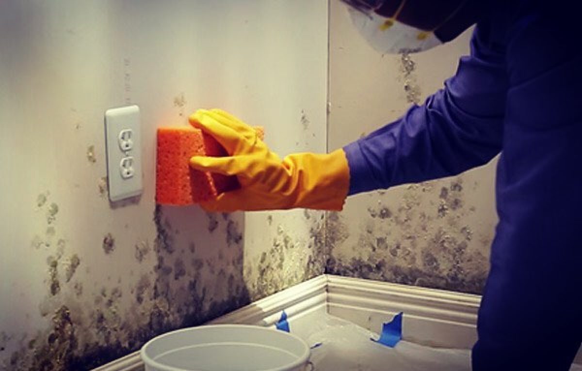  ���������� ������� �������� ����������� �������� ������ ������� 