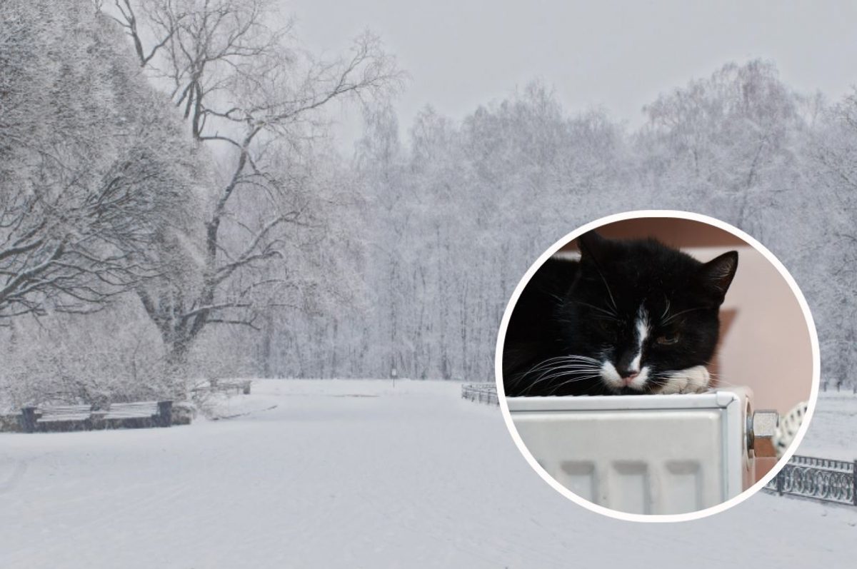  ������� ������� ����������� �������� �������� ������� ���� 