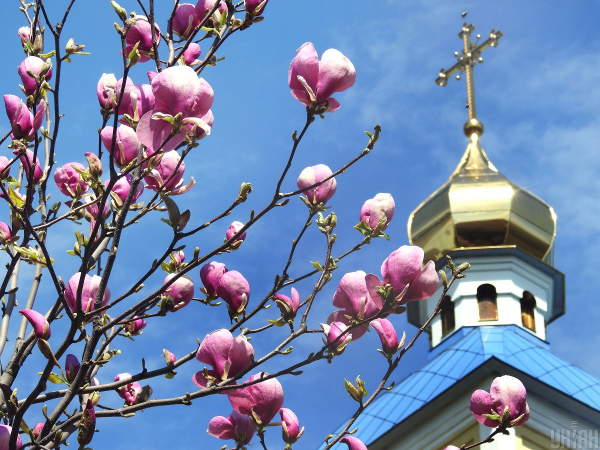  ������� ����� ����� ������� ������� ������� ������ 