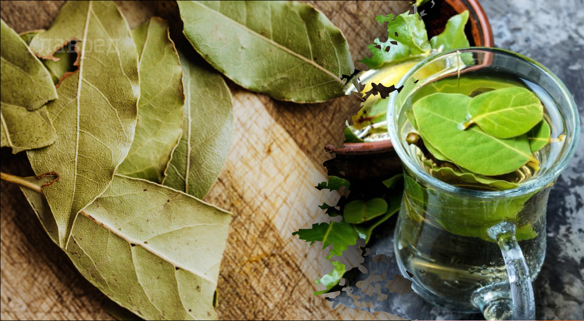  ������ �������� ���� ������� ���������� ���������� ��������� 