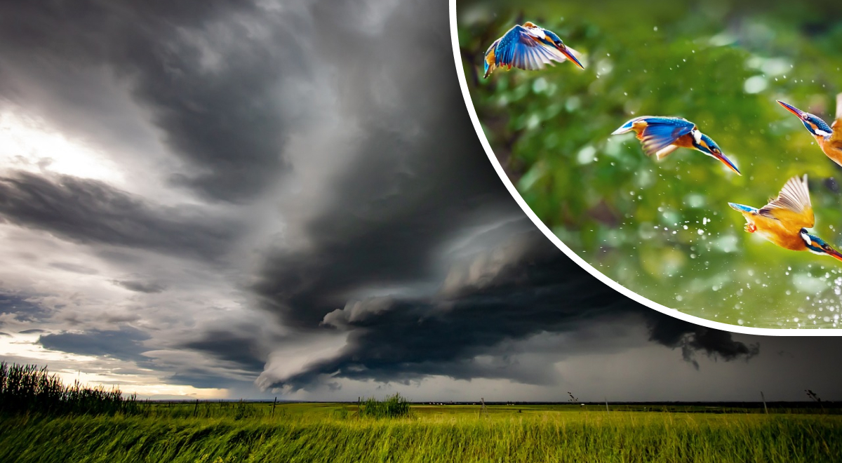 ����: glavred.info