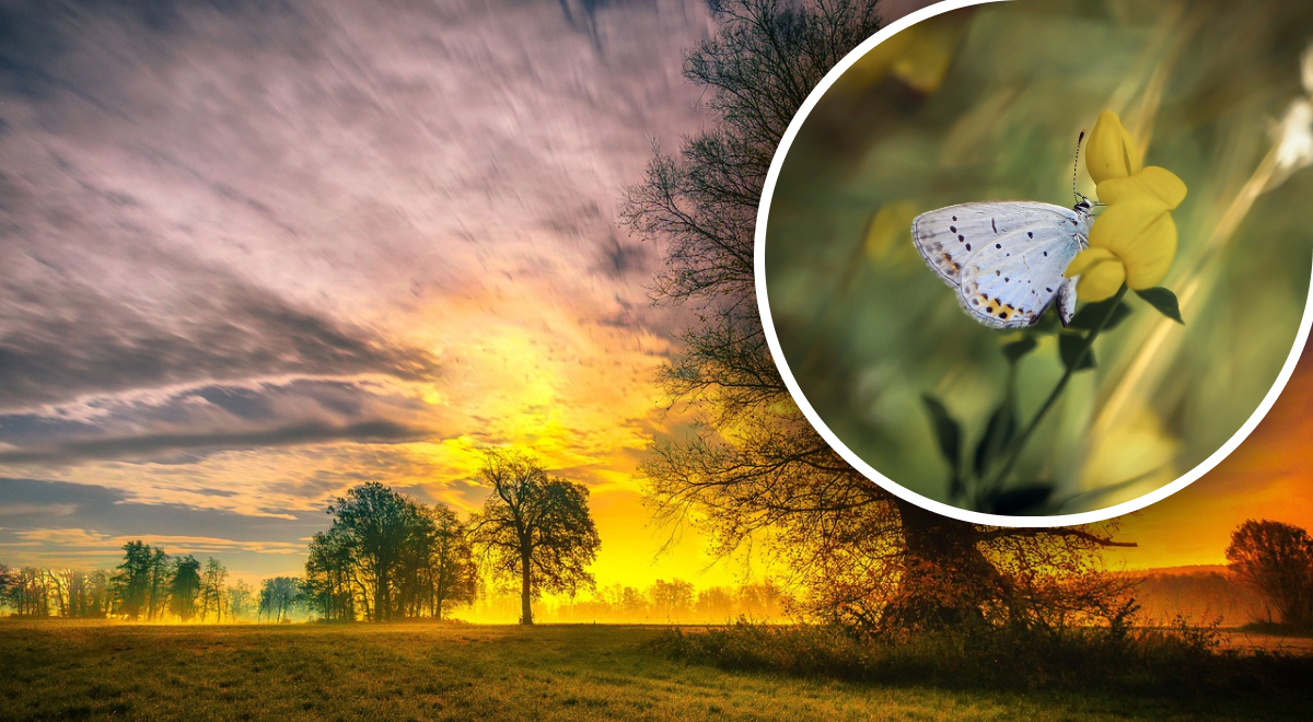  ���� ������� ������� ������� ����� ������ ������ 