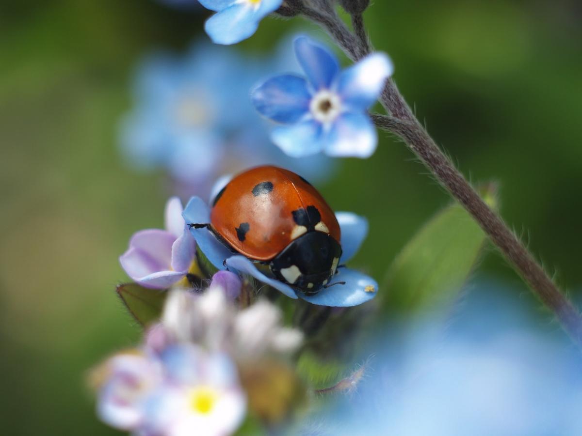  ���� ��������� ������ ������� 