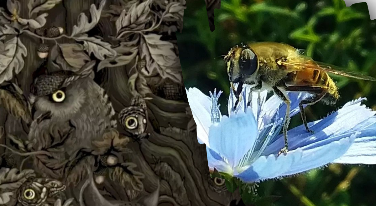 Фото: glavred.info