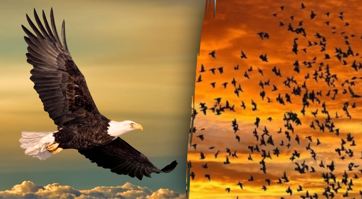  ���������� ������� ������ ���������� ����� ���� �������� 