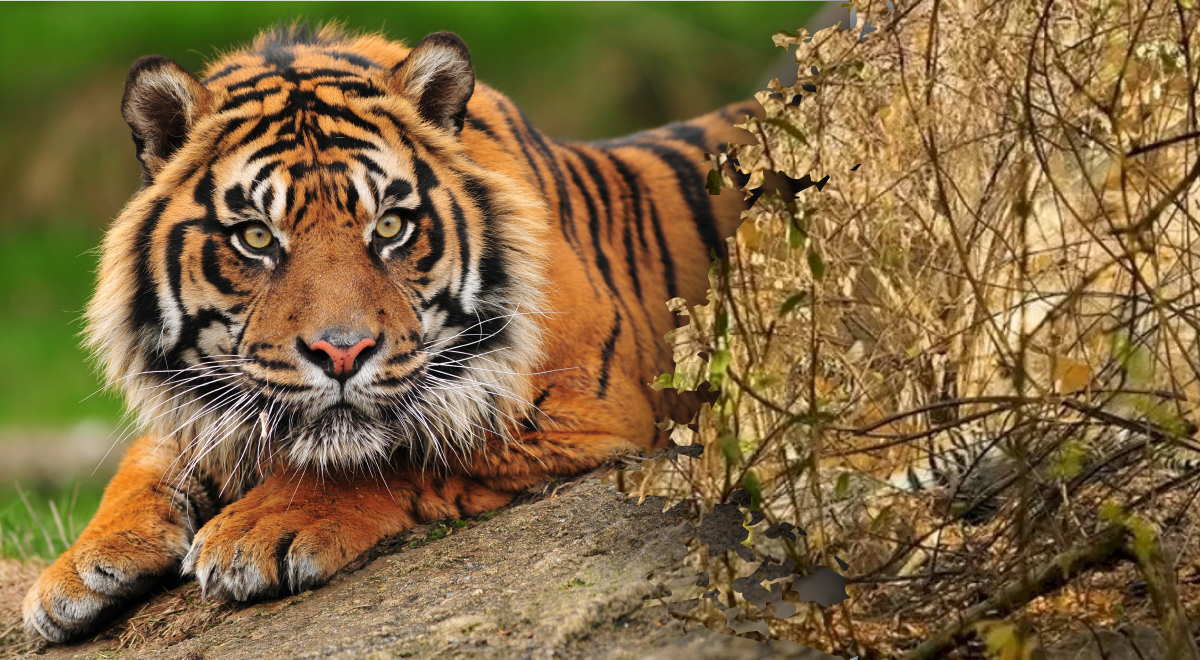 Фото: glavred.info