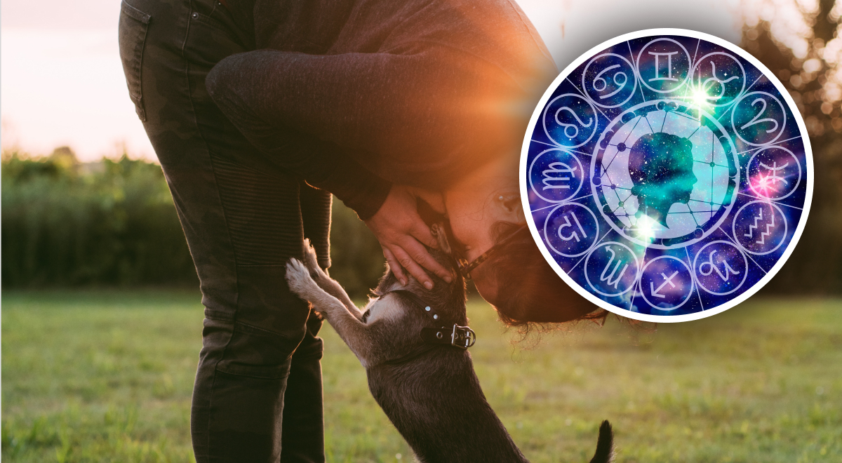 ����: glavred.info