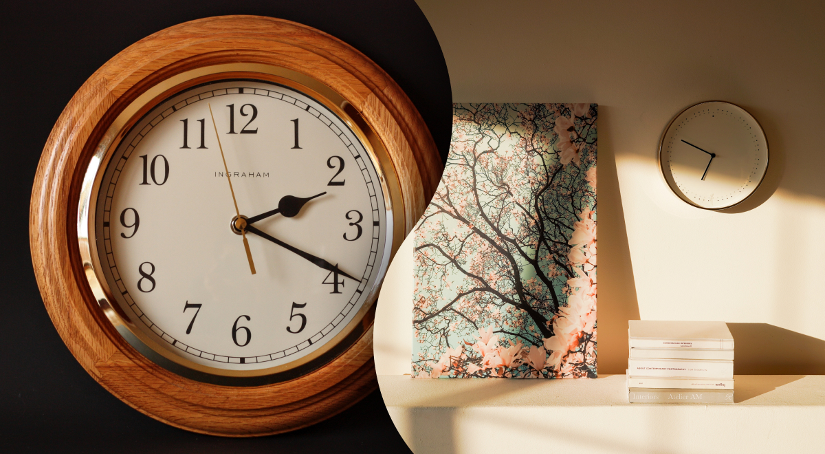  ���� �������� ���� �������� ������� ����� ������ 