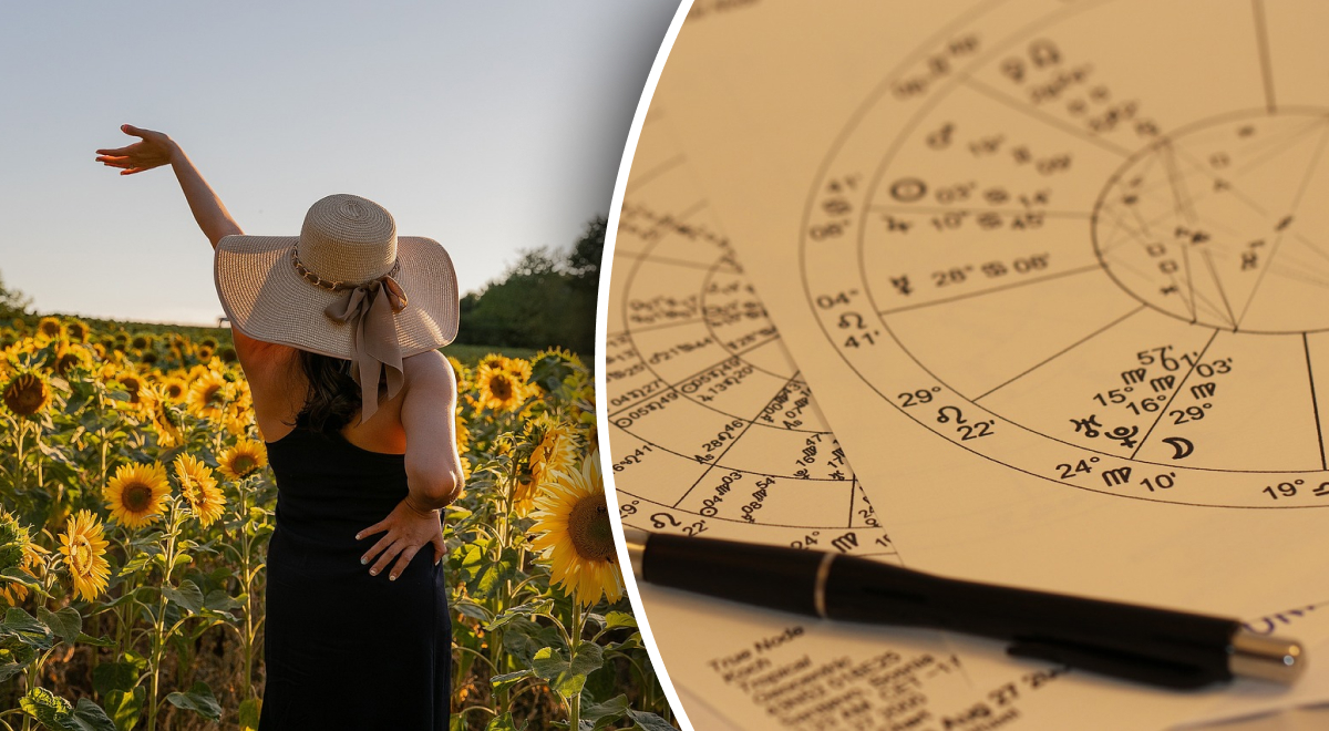  �������� ������� 2023 ����� �������� ���� ����� ������ 