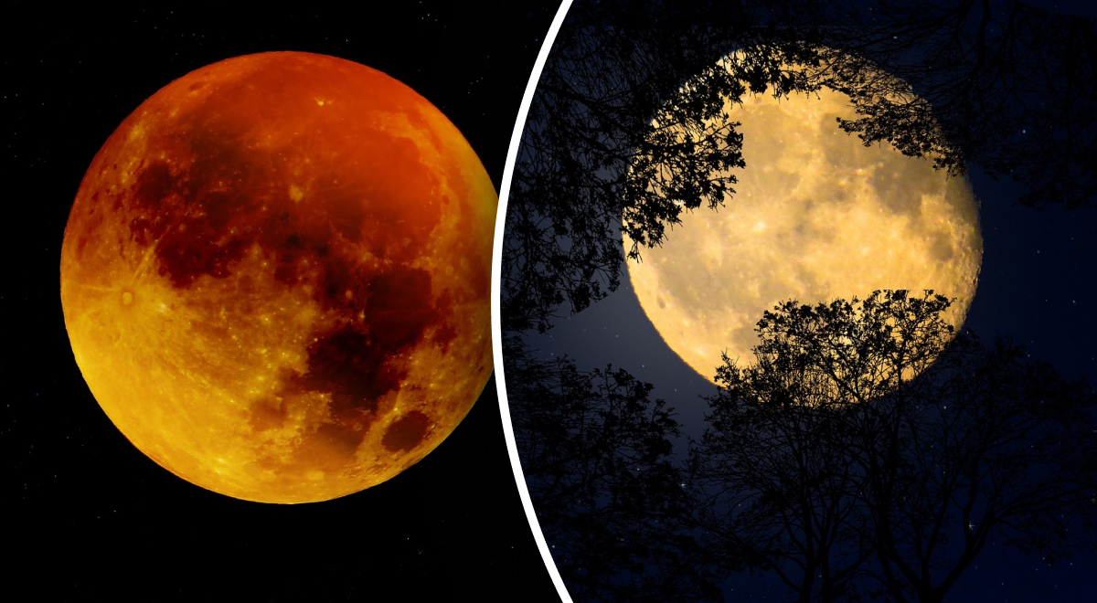  ���������� �������� 2023 ������� ����� ������� 