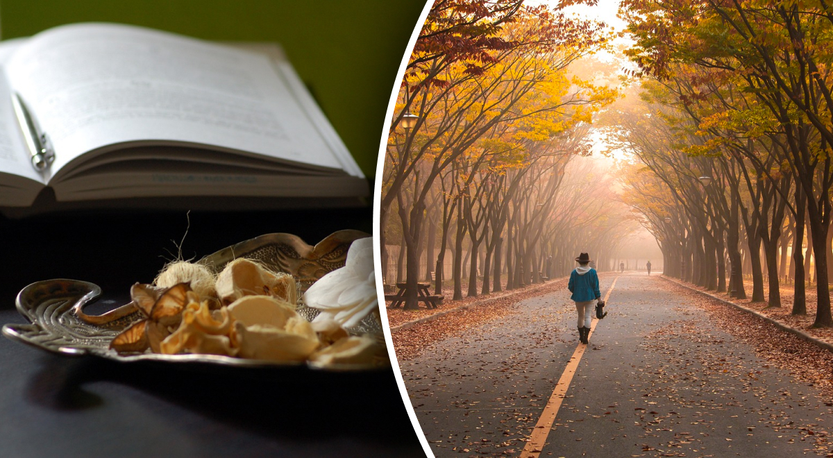  �������� �������� 2023 ����� ��������� ���� �������� ����� 