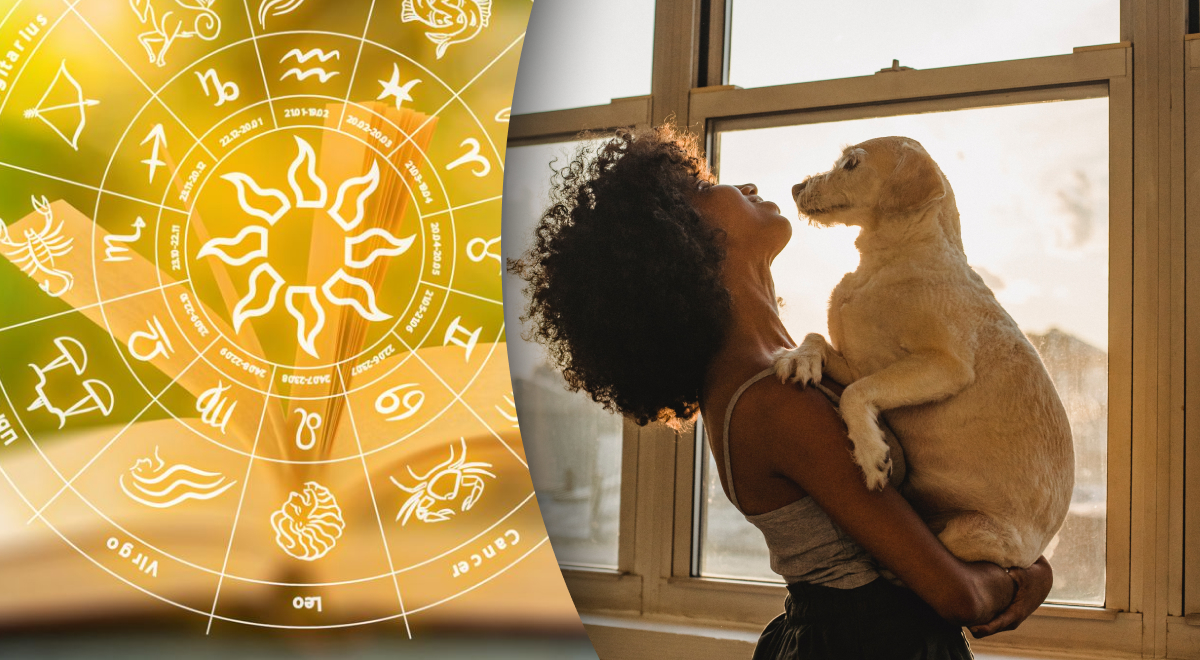  ����� ������� �������� ����� ������ �������� 