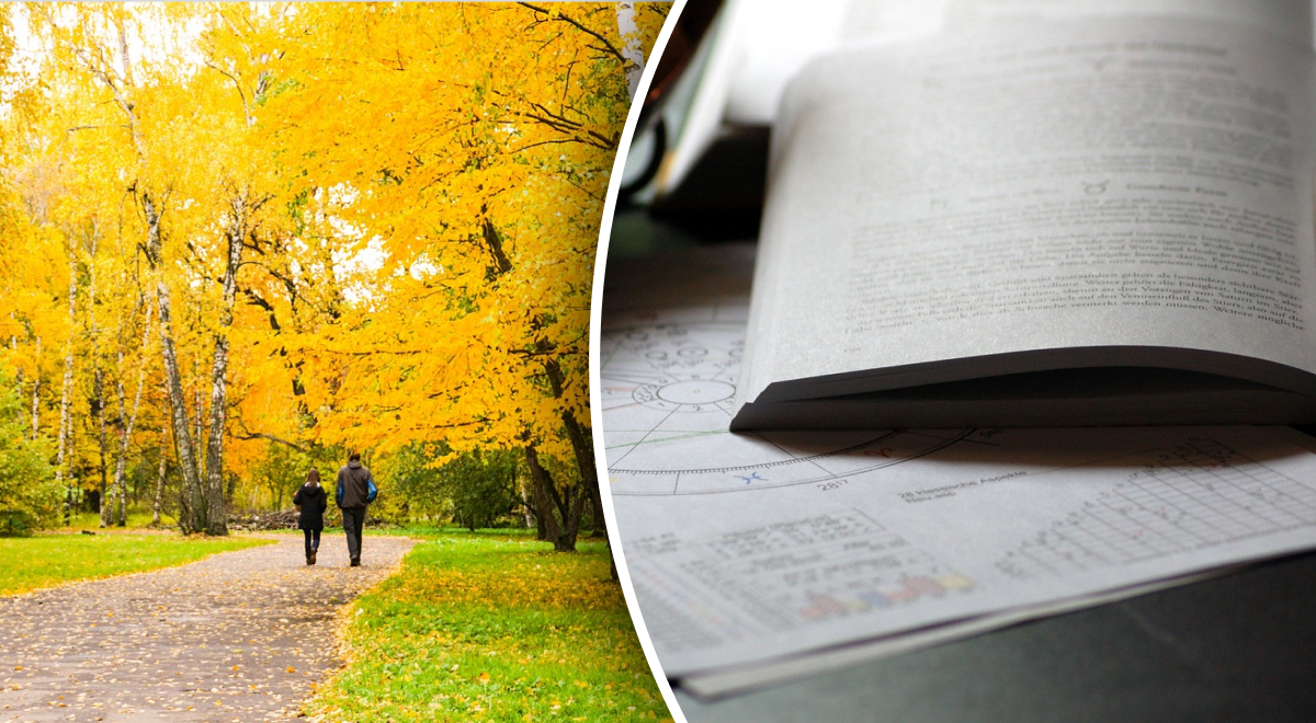  �������� ������� 2023 ����� ���������� ������ ��������� ������������ 