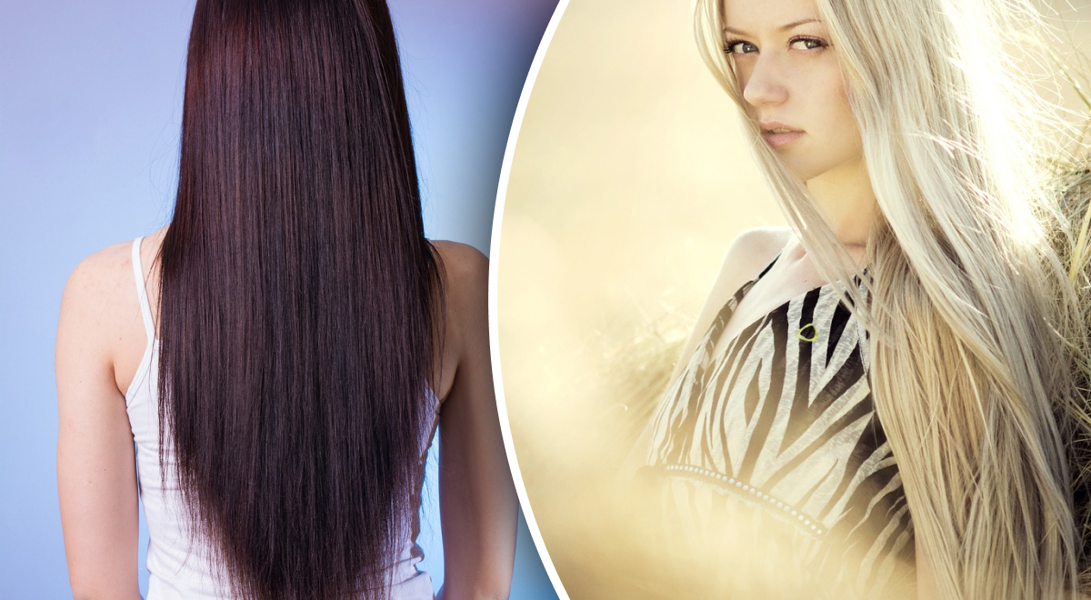  �������� ������� �������� ������������ ����� ����� ��������� 