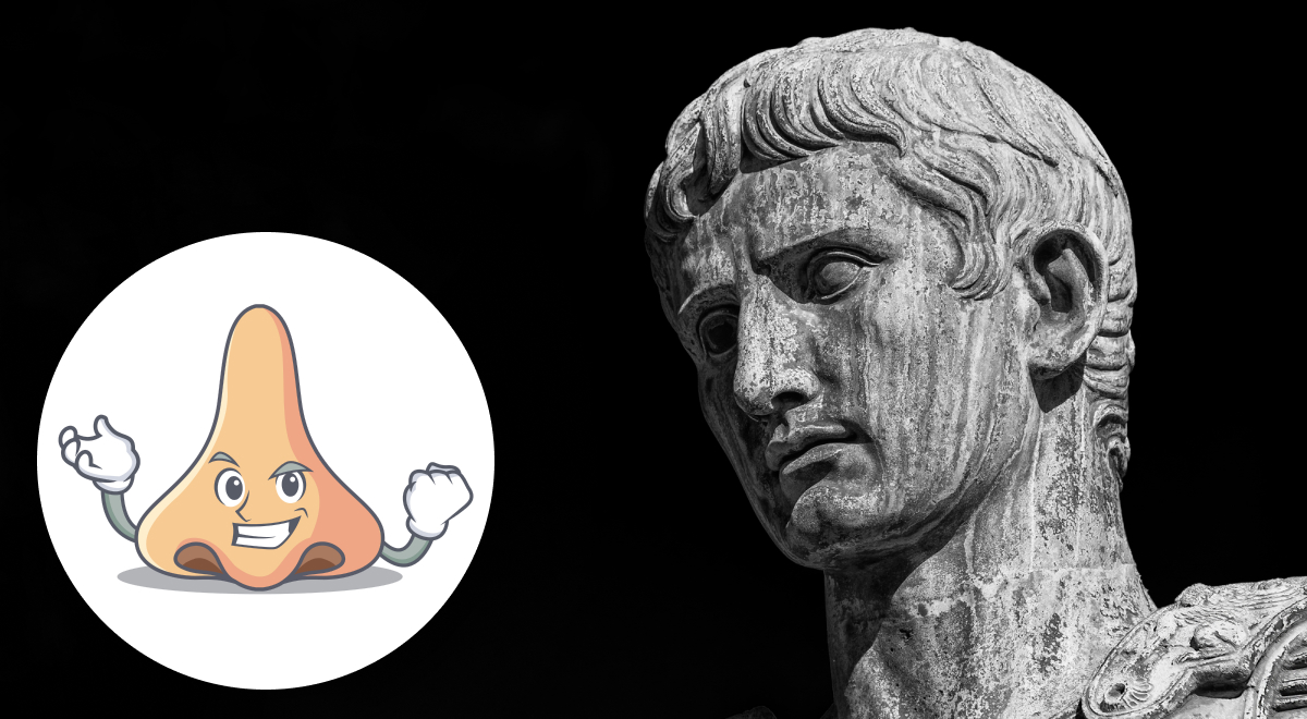  ������ �������� �������� ����� ���� ������� 