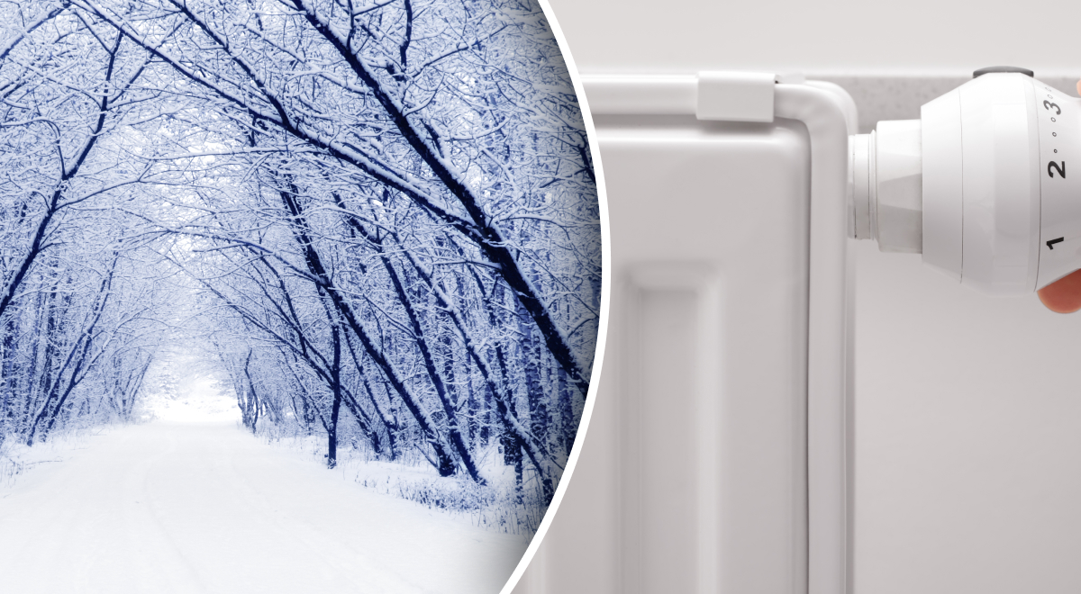 ����: glavred.info