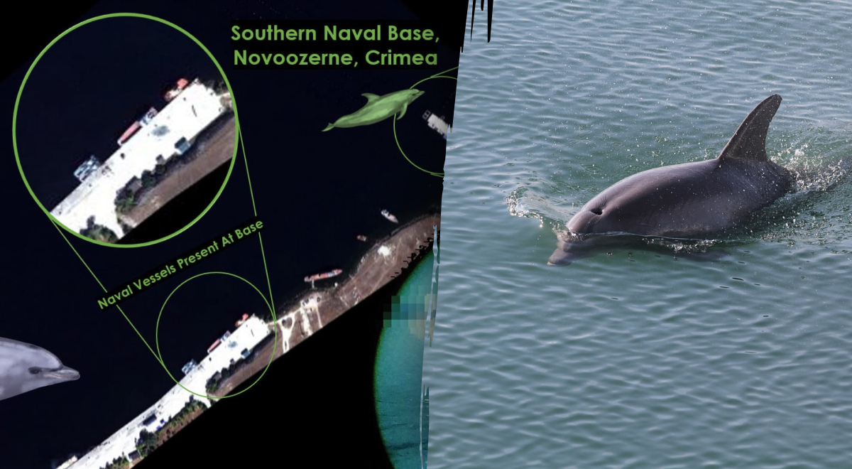  ����������� ������ ��������� ����� ���������� ������� 