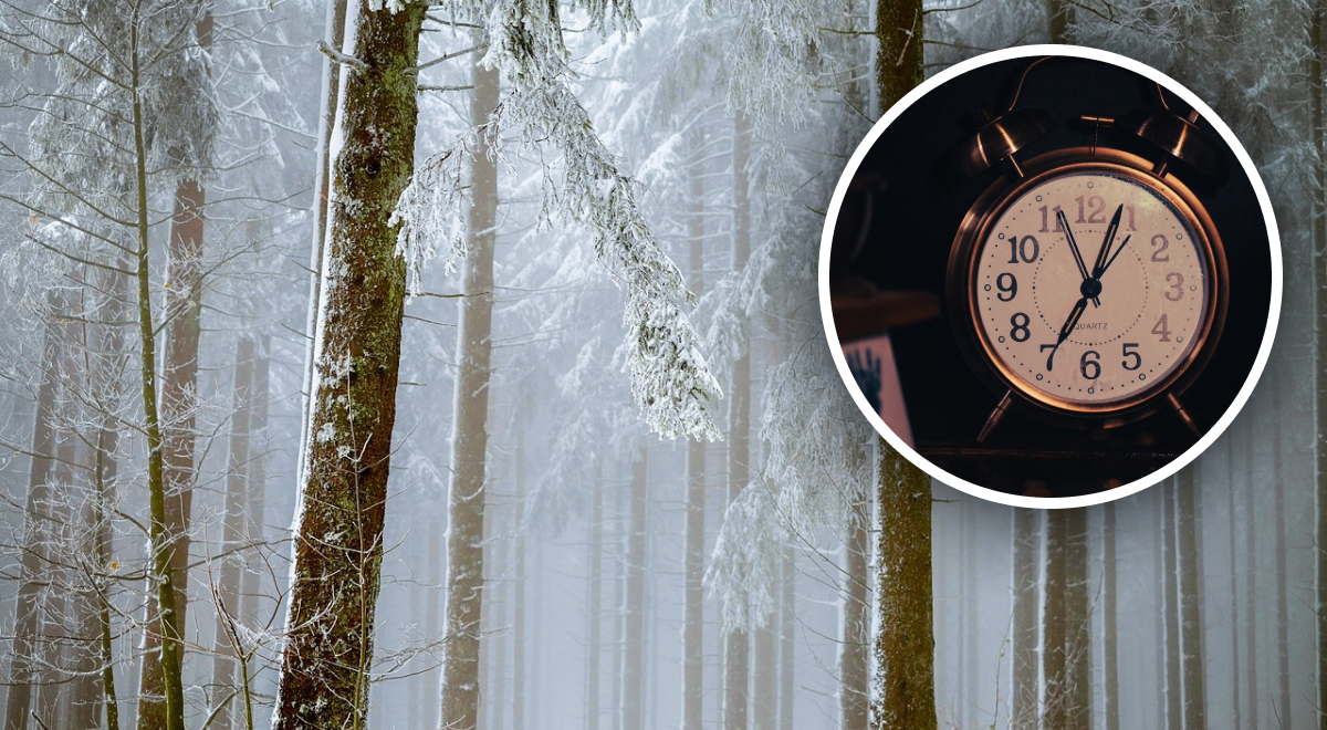  ������� �������� ������� ����� ������� ����� �������� 