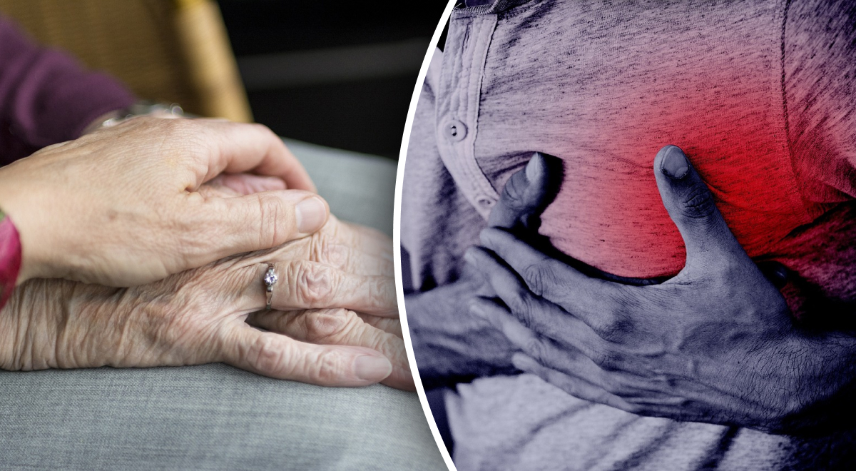  ������ ��������� ������� ������ ���� ������ �������� ������� 