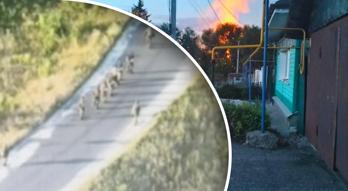 ����: glavred.info