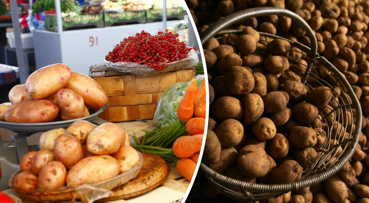  ��������� ������ ������ ������ ������� 