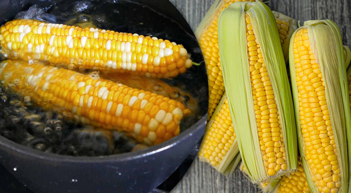  ������������ ���������� �������� ������������ ������ ���� ����� 