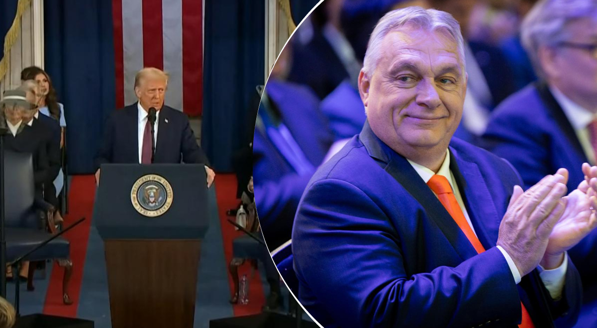  ������ ����� ��������� 