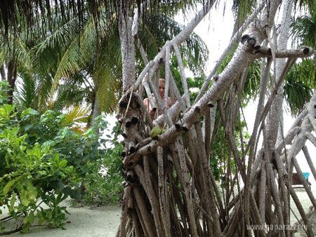 Волочкова показала грудь и рассказала, как отдыхает на Мальдивах (фото)