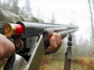 ружье, охота ружье, охота