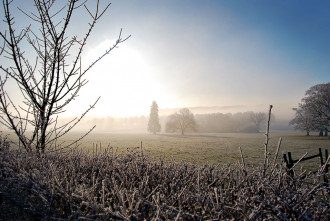 заморозки заморозки