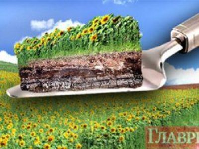 "Отдача за ценный актив": Всемирный банк озвучил мнение по продаже земли в Украине