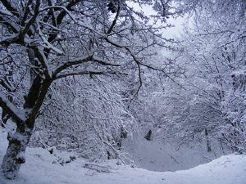 Ударят морозы, завалит снегом: синоптик рассказал, к чему готовиться украинцам