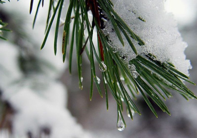 Зима скасовується, а літо стане довшим: кліматолог шокувала прогнозом