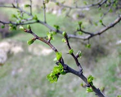 потепління, весна, тепло