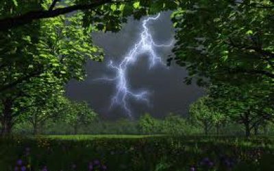 Иллюстрация Иллюстрация