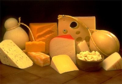 Качественные твердые сыры улучшают метаболизм, сообщила диетолог - Сыр при похудении