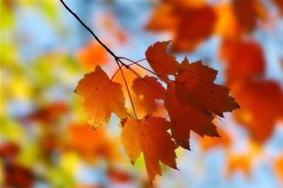 погода, похолодание