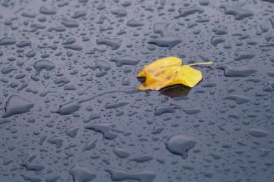 дождь дождь