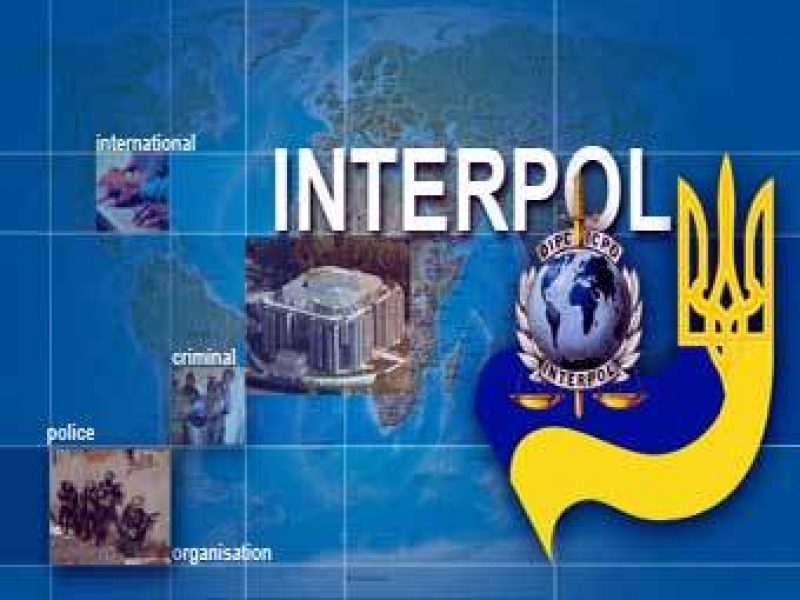 Интерпол объявил в розыск экс-"лесника" Януковича