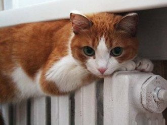 отопление, отопительный сезон