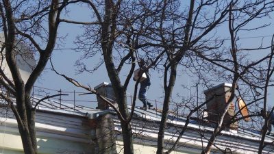 Под Радой "Беркут" открыл стрельбу по митингующим - нардеп