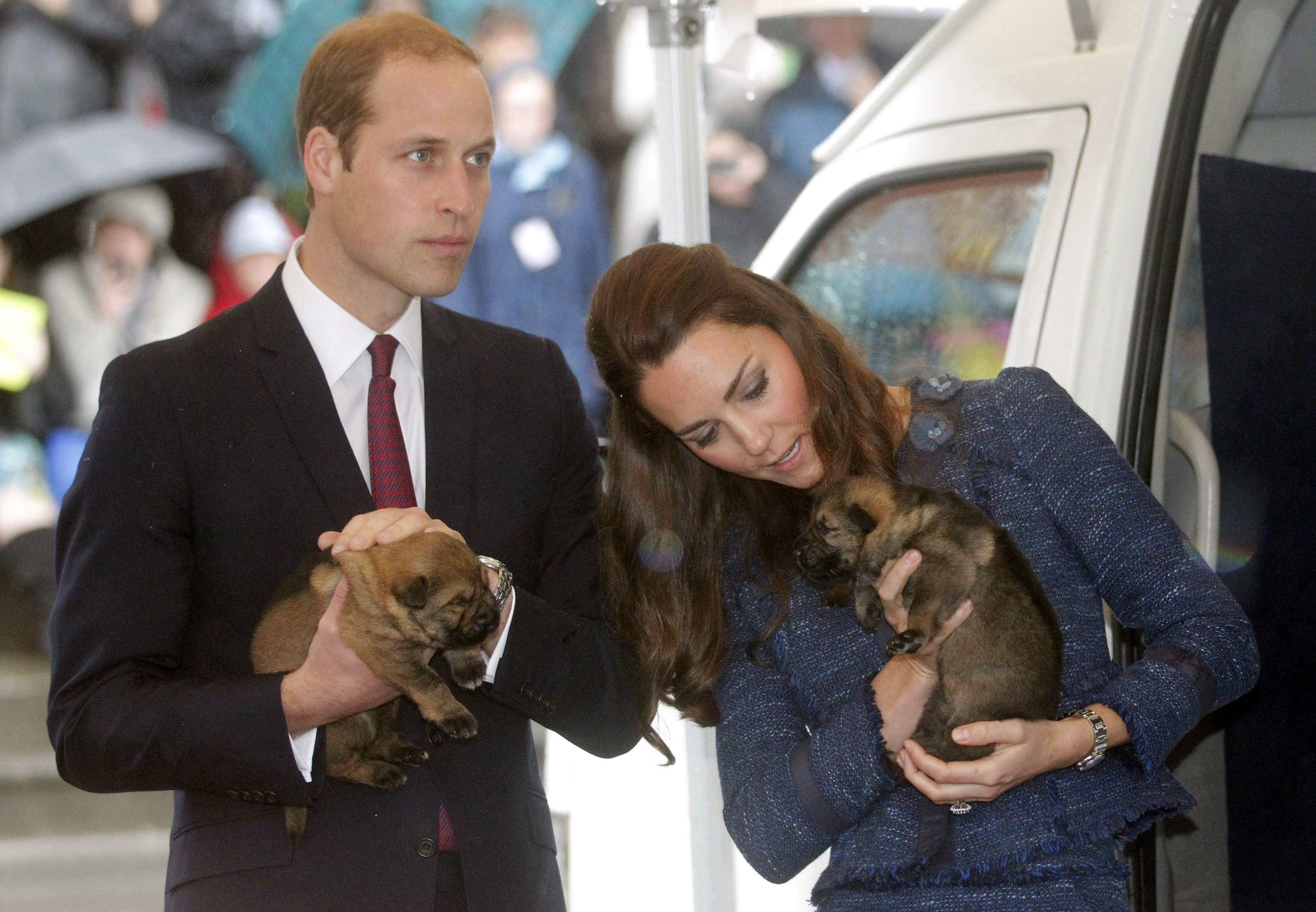 Принц Уильям и Кейт Миддлтон попрощались с Новой Зеландией