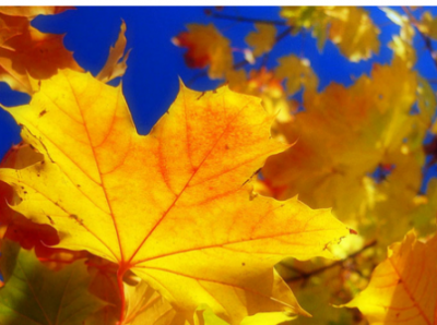 Украину накроют дожди: синоптик предупредила о резком похолодании